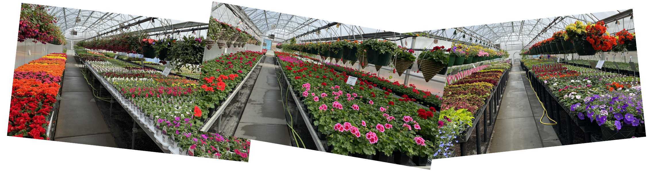 images of greenhouses